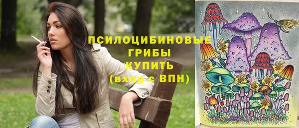 круглые Армянск