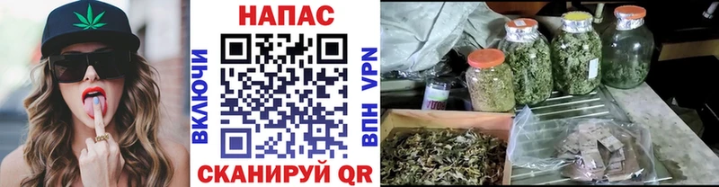 где найти   кракен как войти  Канабис ГИДРОПОН  Малоархангельск 